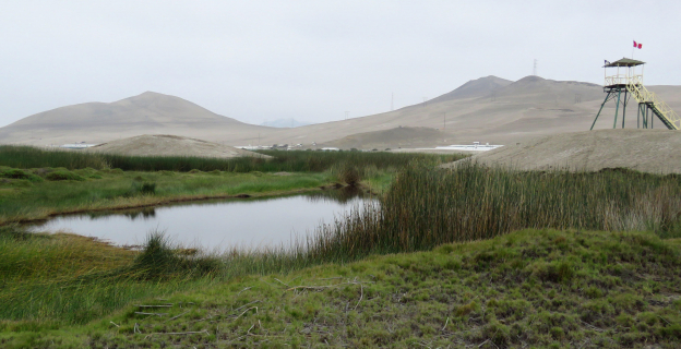 humedales